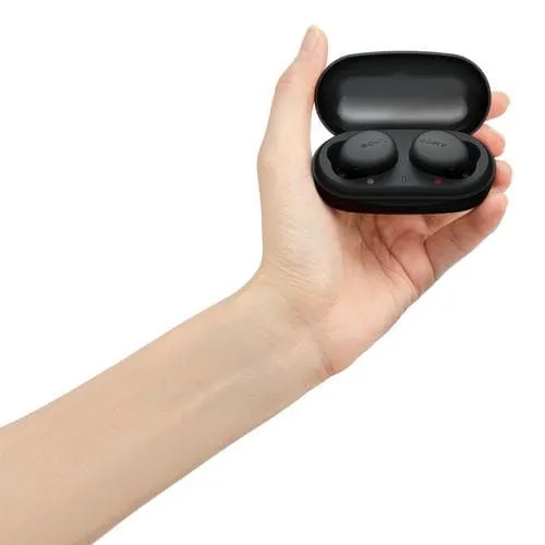 Sony WF-XB700 Truly Wireless In-Ear Headphones with Extra Bass