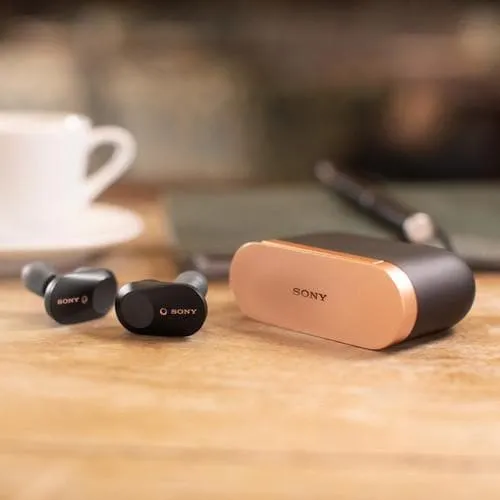 Sony WF-1000XM3 True Wireless Noise-Canceling In-Ear Earphones with Mic