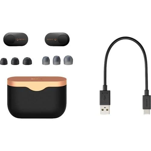 Sony WF-1000XM3 True Wireless Noise-Canceling In-Ear Earphones with Mic