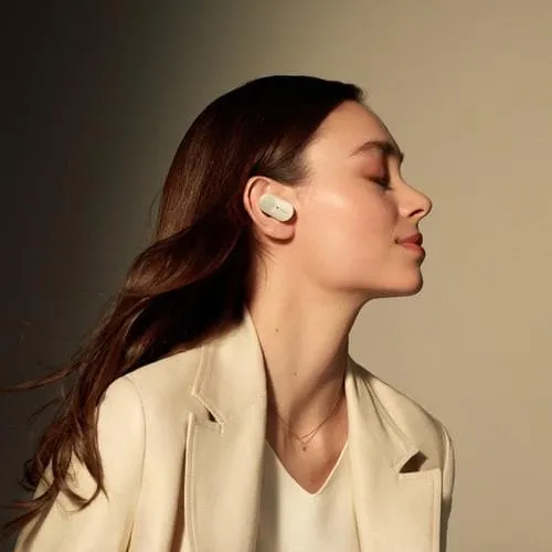 Sony WF-1000XM3 True Wireless Noise-Canceling In-Ear Earphones with Mic