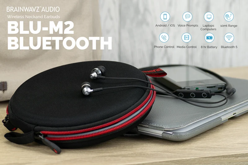 Écouteurs Bluetooth sans fil BLU-M2