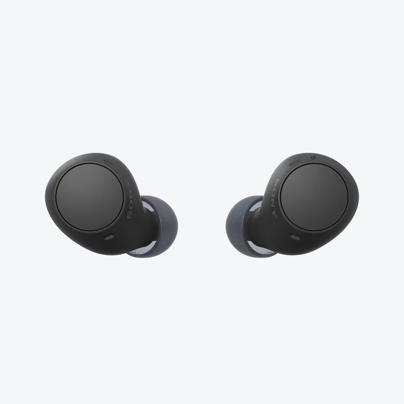 Écouteurs véritablement sans fil Sony WF-C510