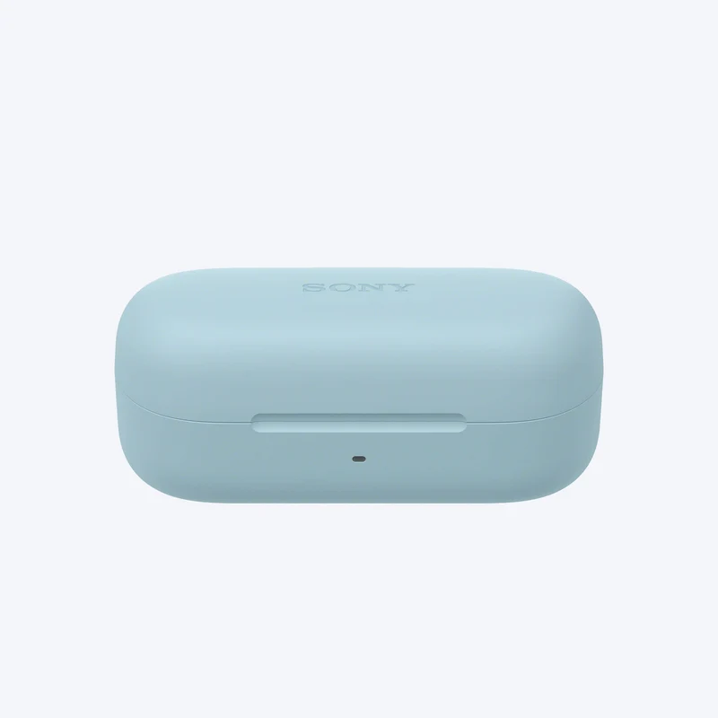 Écouteurs véritablement sans fil Sony WF-C510