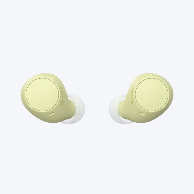 Écouteurs véritablement sans fil Sony WF-C510