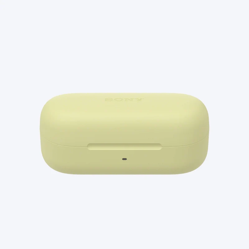 Écouteurs véritablement sans fil Sony WF-C510
