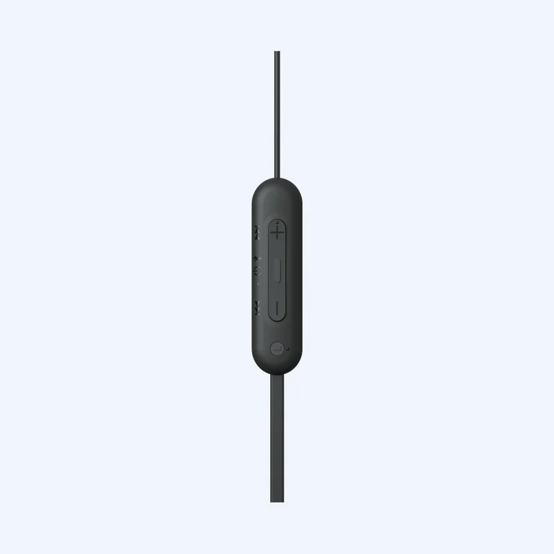 Écouteurs intra-auriculaires sans fil Sony WI-C100