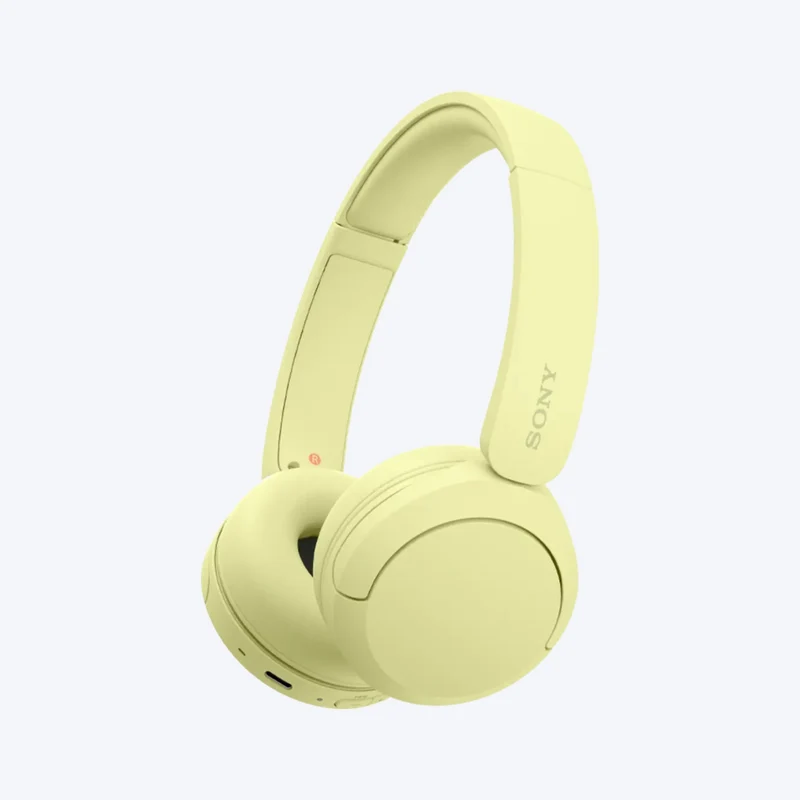Casque sans fil Sony WH-CH520