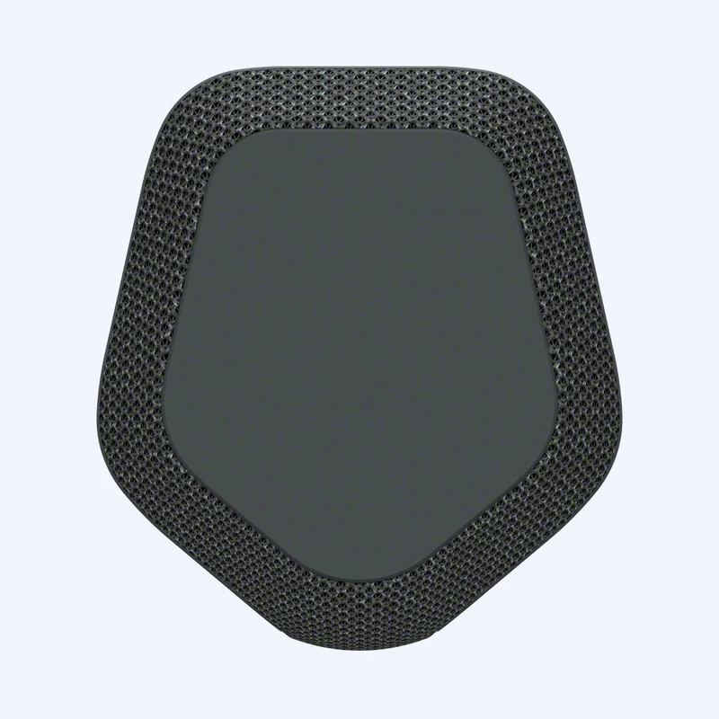 Haut-parleur sans fil portable Sony SRS-XE300 série X