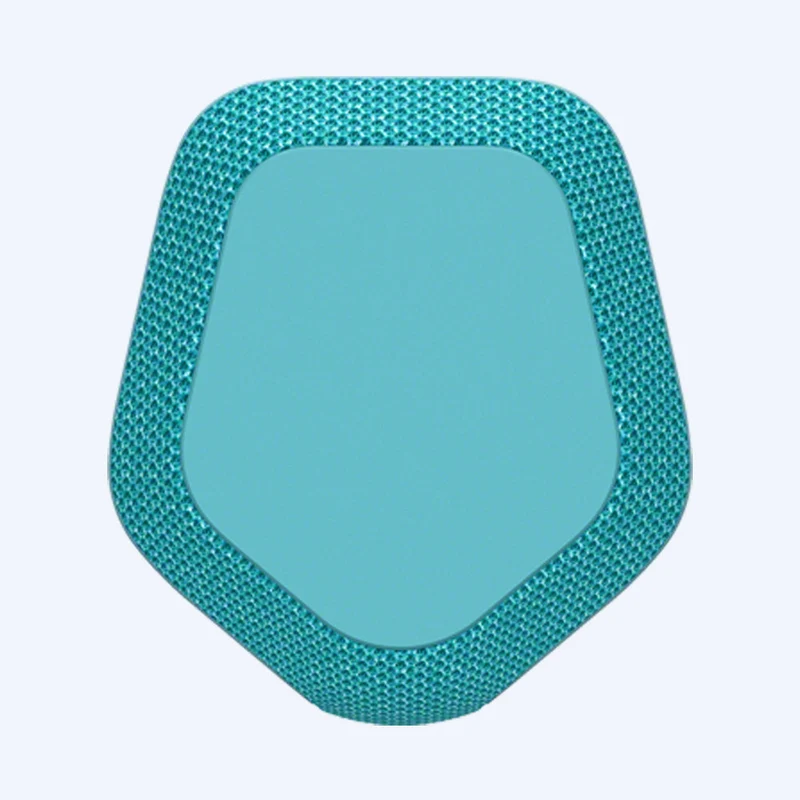 Haut-parleur sans fil portable Sony SRS-XE300 série X