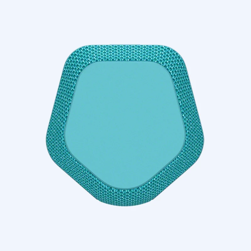 Haut-parleur sans fil portable Sony SRS-XE200 série X