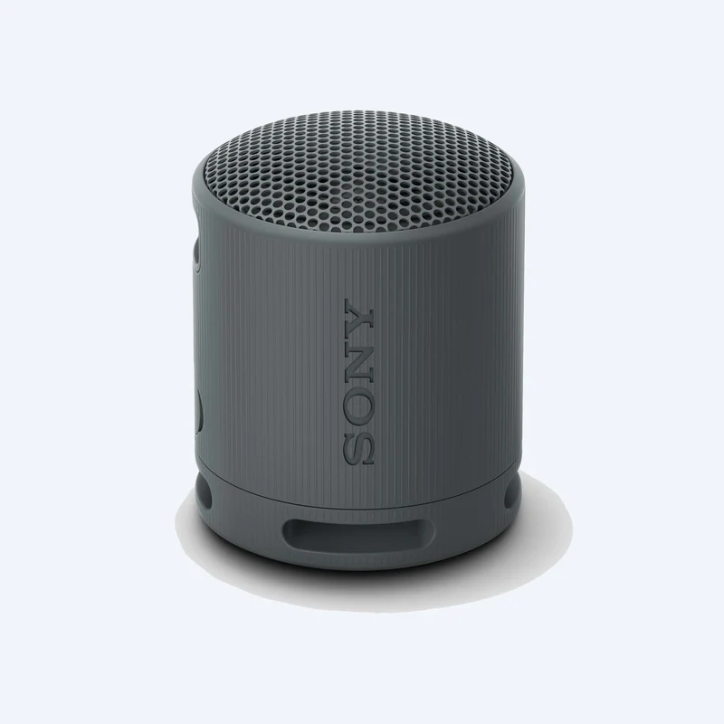 Haut-parleur sans fil portable Sony SRS-XB100