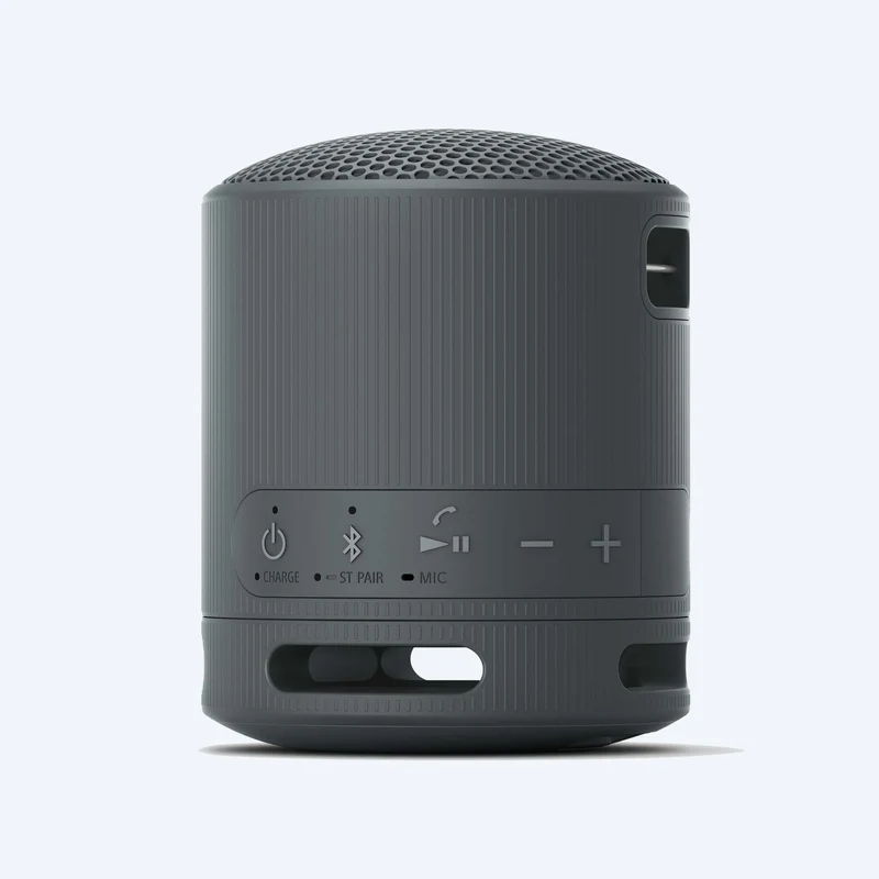 Haut-parleur sans fil portable Sony SRS-XB100