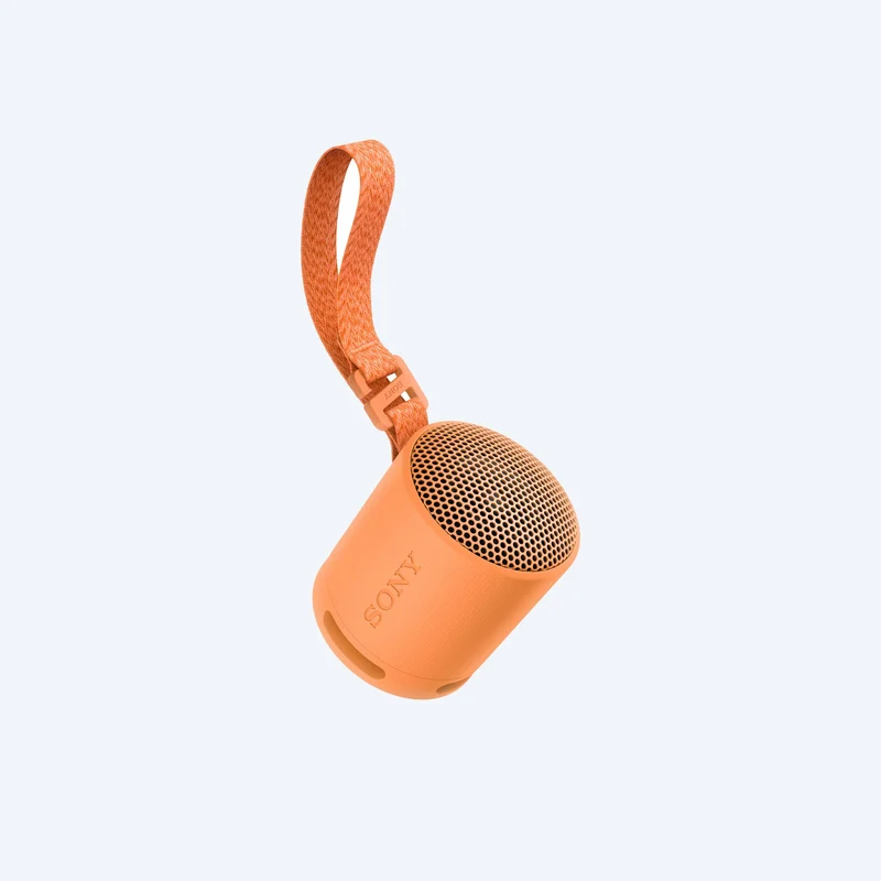 Haut-parleur sans fil portable Sony SRS-XB100