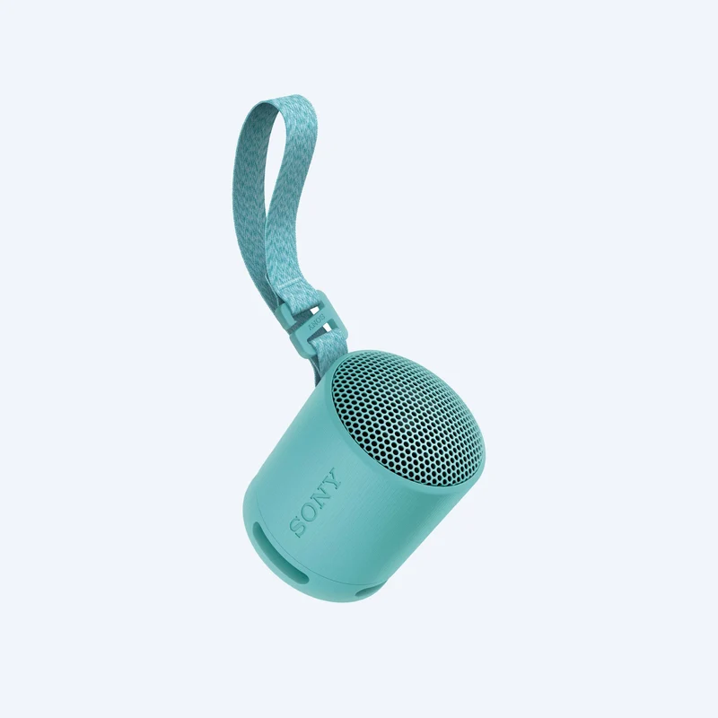 Haut-parleur sans fil portable Sony SRS-XB100