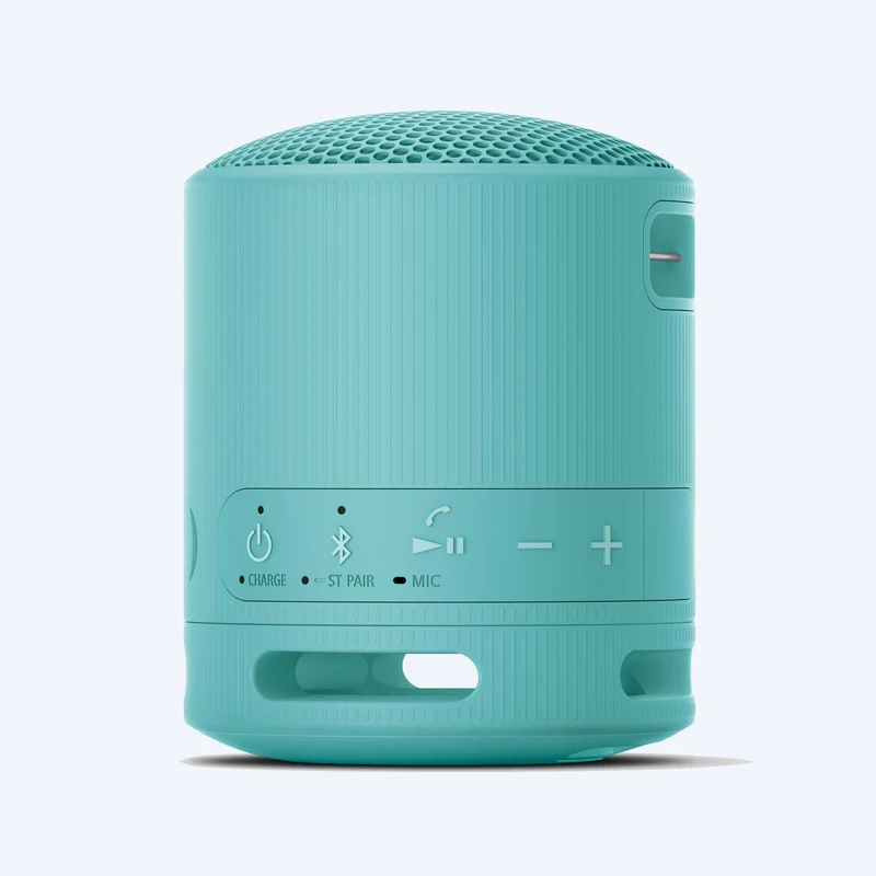 Haut-parleur sans fil portable Sony SRS-XB100