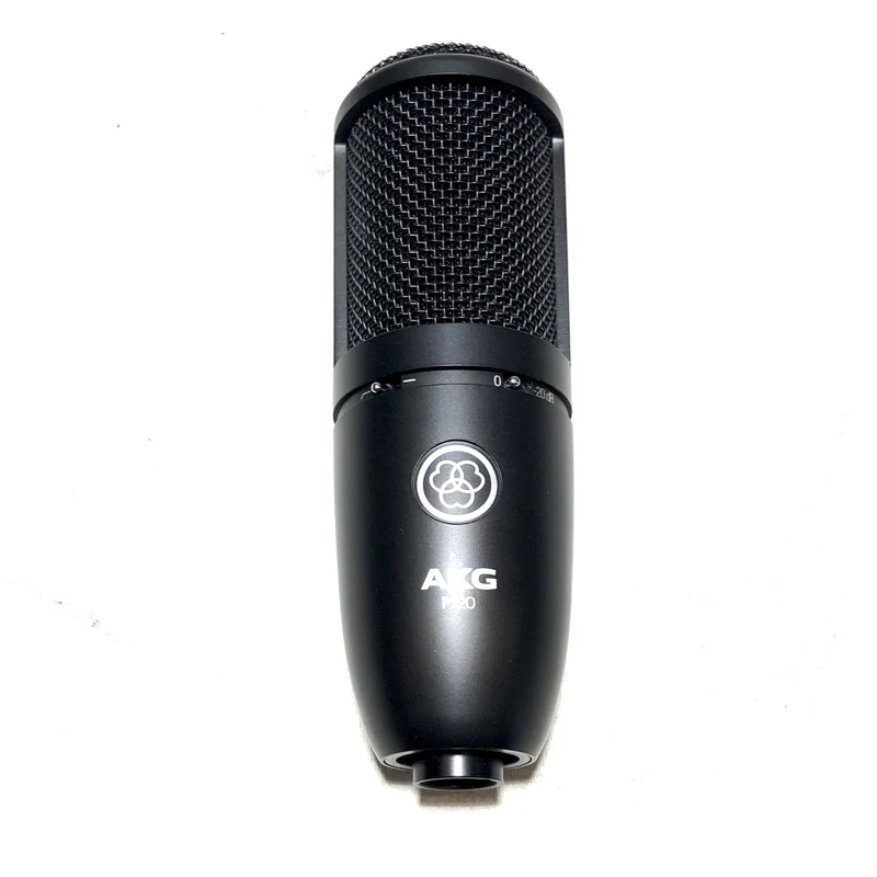 AKG P120 Cardioid Condenser Microphone (Black) #2468 - DEMO