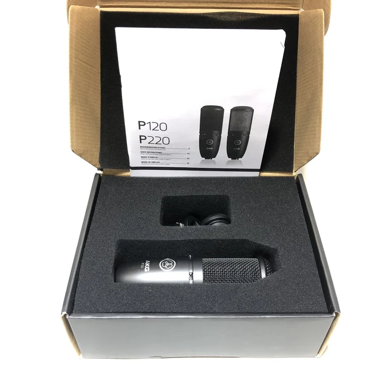 AKG P120 Cardioid Condenser Microphone (Black) #2468 - DEMO